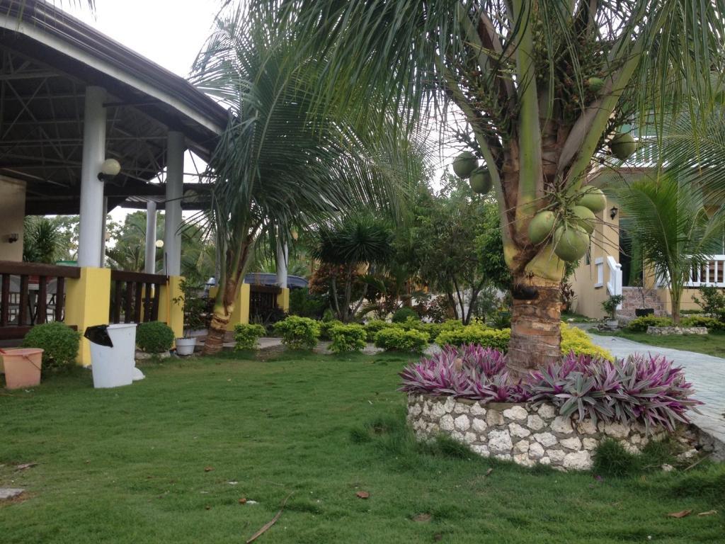 Moalboal Beach Resort Alcantara  Extérieur photo